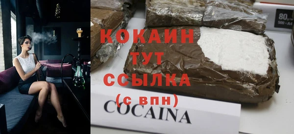 дживик Пересвет