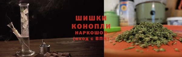 дживик Пересвет