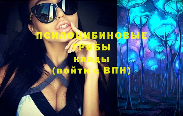 стаф Покров