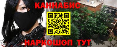 гашик Будённовск