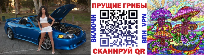 Псилоцибиновые грибы MAGIC MUSHROOMS  где продают наркотики  Рославль 