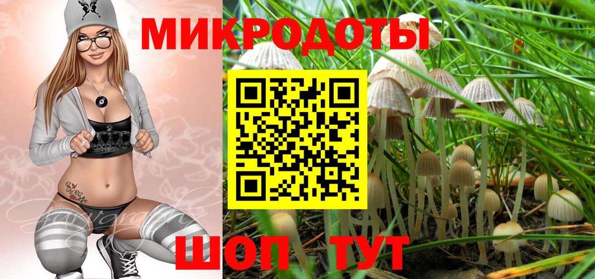 Рославль  Псилоцибиновые грибы Magic Shrooms  Вход с VPN 