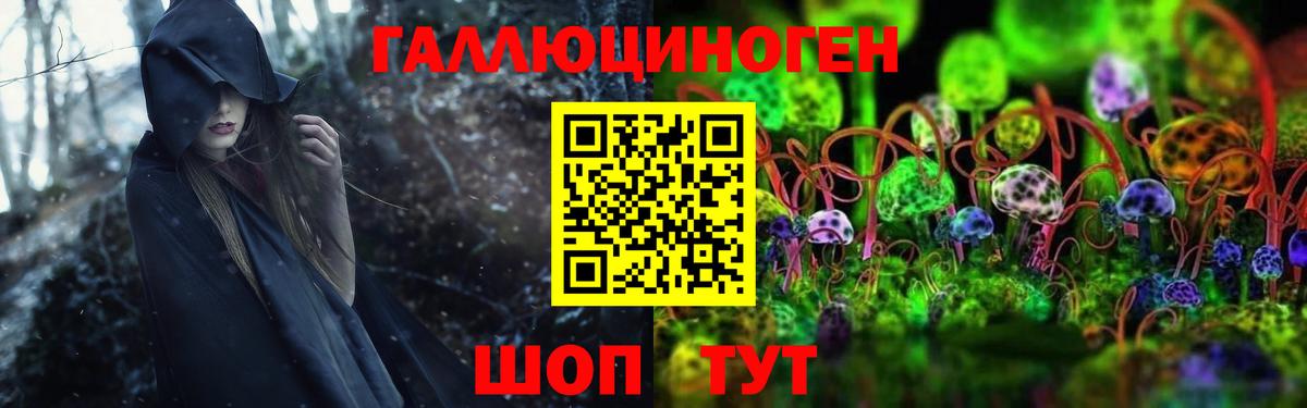 Псилоцибиновые грибы Psilocybine cubensis Рославль